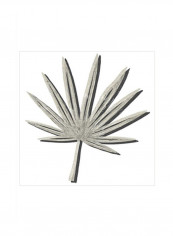 Cut Paper Palms II Poster Grey/Black 75x75x3.5centimeter