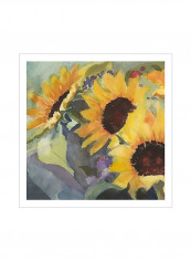 Sunflowers in Watercolor I Poster Yellow/Purple/Brown 80 x80 x3.5centimeter