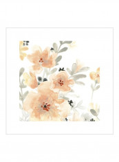 Blush Garden III Poster Orange/Grey 80x80x3.5centimeter