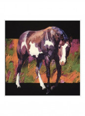 Color Square III Poster Brown/White/Green 80x80x3.5centimeter