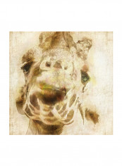 Inspektor IV Wall Poster Beige/Brown 80x80x3.5centimeter