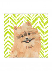 Parlor Pooches IV Wall Poster Green/Beige 75x75x3.5centimeter