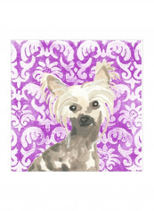 Parlor Pooches IX Wall Poster Purple/Beige 75x75x3.5centimeter