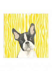 Parlor Pooches VIII Wall Poster Yellow/White/Black 75x75x3.5centimeter