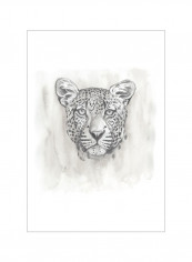 Big Cat Study IV Wall Poster Beige/Grey/White 75x75x3.5centimeter