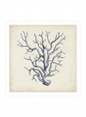 Coral Trio In Indigo III Wall Poster Blue 80x80x3.5centimeter