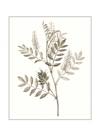Neutral Botanical Study III Wall Poster Grey/Beige 80x85x3.5centimeter