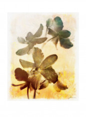 Brocade Garden III Wall Poster Brown/Yellow/White 80x85x3.5centimeter