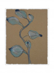 Little Plants of Big Sur VIII Poster Brown/Blue/Black 60x75x3.5centimeter