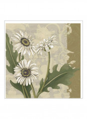 Paris Daisy II Wall Poster Beige/Green/White 75x75x3.5centimeter