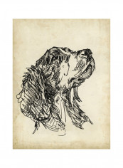 Breed Studies VII Wall Poster Beige/Black 75x80x3.5centimeter