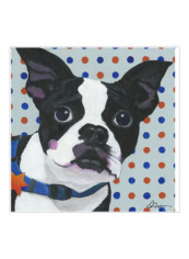 Dlynns Dogs - Diesel Poster Grey/White/Black 75x75x3.5centimeter