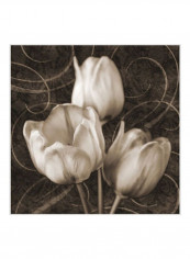 Tulip & Swirls II Poster White/Brown 80x80x3.5centimeter