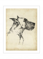 Breed Studies IV Wall Poster Beige/Black 75x80x3.5centimeter