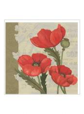 Paris Poppy I Wall Poster Beige/Red/Green 75x75x3.5centimeter