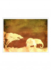 Safari Sunrise I Wall Poster Brown/Grey/White 80x75x3.5centimeter