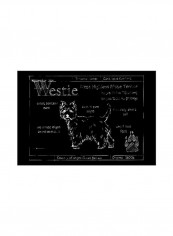 Blueprint Westie Poster Black/White 80x75x3.5centimeter