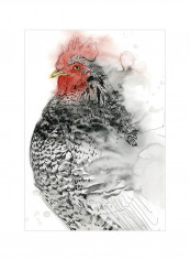 Plymouth Rooster I Wall Poster Black/Red/White 80x85x3.5centimeter