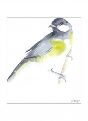 Watercolor Songbirds II Wall Poster Green/Blue/White 60x70x3.5centimeter