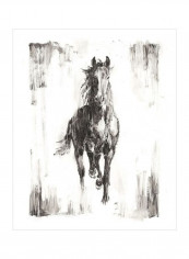 Rustic Black Stallion I Poster Grey 80x85x3.5centimeter