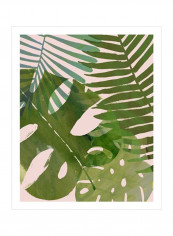 Tropical Tangle II Poster Green 80x85x3.5centimeter