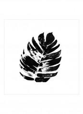 Monochrome Tropic VII Wall Poster White/Black 75x75x3.5centimeter
