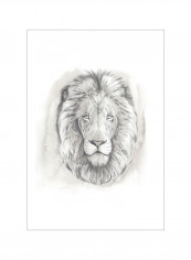 Big Cat Study III Wall Poster Beige/Grey/White 75x75x3.5centimeter