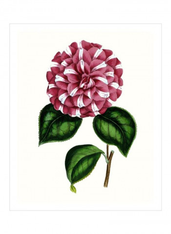 Grand Blooms I Wall Poster Pink/Green/White 80x85x3.5centimeter