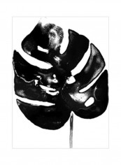 Monochrome Tropic I Wall Poster White/Black 75x75x3.5centimeter