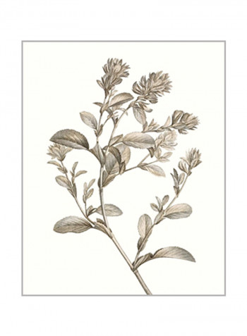 Neutral Botanical Study II Wall Poster Grey/Beige 80x85x3.5centimeter