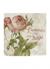 Rose Romance I Wall Poster Beige/Green/Pink 80x80x3.5centimeter
