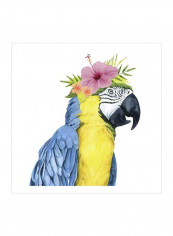 Tropical Halo II Wall Poster Yellow/Blue/Pink 80x3.5x80centimeter