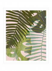 Tropical Tangle I Poster Green 80x85x3.5centimeter