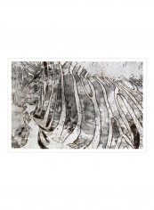 Zebra Mix Poster Black/White 80x75x3.5centimeter