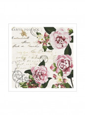 Ephemeral Roses II Poster Pink/White/Green 80 x80 x3.5centimeter
