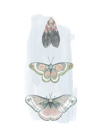 Jeweled Fairies I Poster Grey/Green/Black 60x80x3.5centimeter