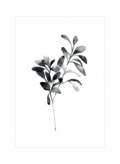 Brume Botanical I Wall Poster Black/Grey/White 75x80x3.5centimeter