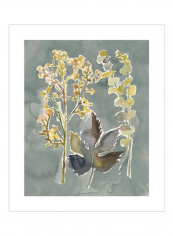 Collected Florals III Wall Poster Grey/Yellow/Green 80x85x3.41centimeter
