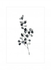 Brume Botanical III Wall Poster Black/Grey/White 75x80x3.5centimeter