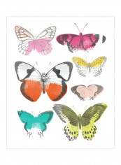 Chromatic Butterflies I Wall Poster White/Orange/Pink 80x85x3.68centimeter