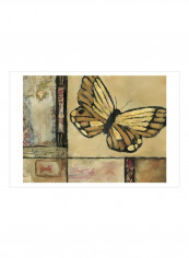 Butterfly In Border II Wall Poster Brown/Black 80x75x3.5centimeter