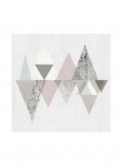 Amuse II Wall Poster Beige/Pink/Green 80x80x3.5centimeter