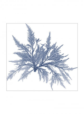 Navy Seaweed V Wall Poster Blue 80x80x3.5centimeter