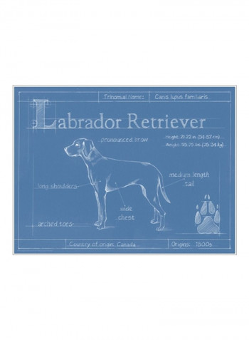 Blueprint Labrador Retriever Wall Poster Blue/White 80x75x3.5centimeter