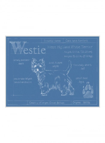 Blueprint Westie Wall Poster Blue/White 80x75x3.5centimeter