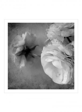 Dark Ranunculus III Wall Poster Grey 80x80x3.5centimeter