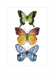 Falling From III Wall Poster Green/Blue/Yellow 75x80x3.5centimeter