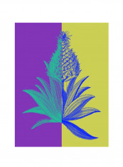 Pineapple Mix II Poster Yellow/Blue/Purple 75x80x3.5centimeter