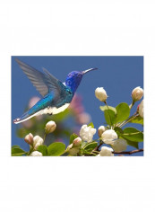 The Flower Dance XIV Wall Poster Multicolour 75x60x3.5centimeter