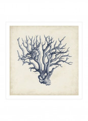 Coral Trio In Indigo I Wall Poster Blue 80x80x3.5centimeter